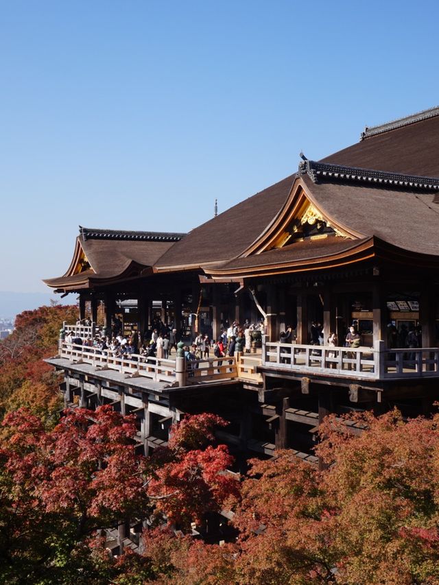 【京都】秋が詰まっている！清水寺🍁