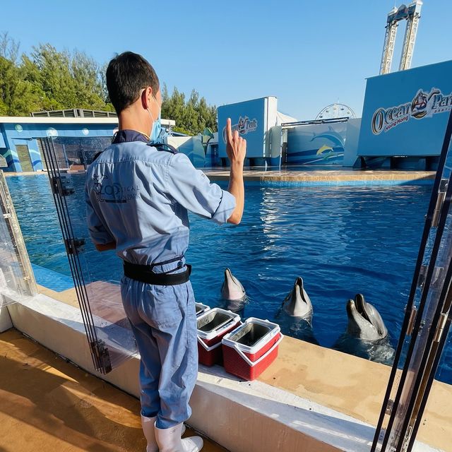 高質海洋公園平日遊