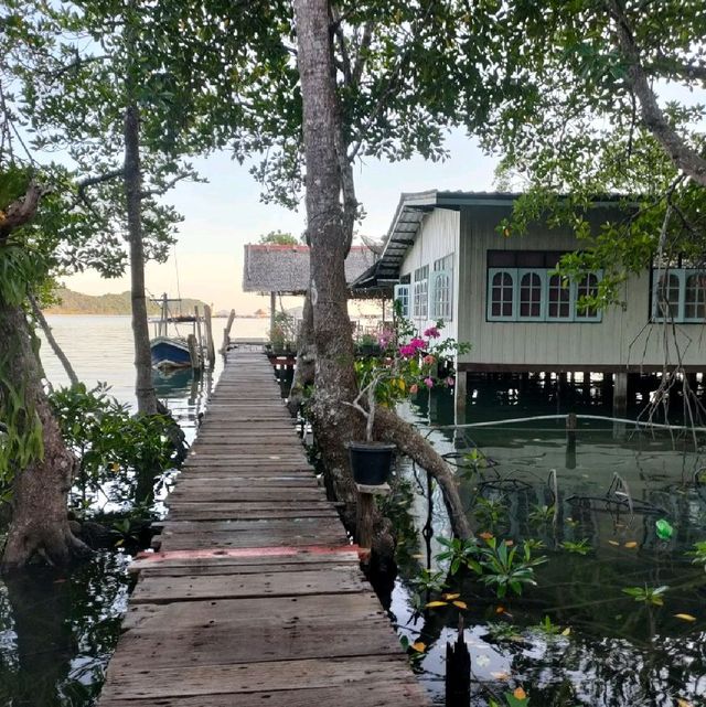 สะพานแดง ชมป่าชายเลน