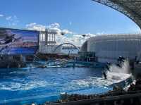 名古屋港水族館といえば🐬【イルカショー】＆名古屋港のレストラン