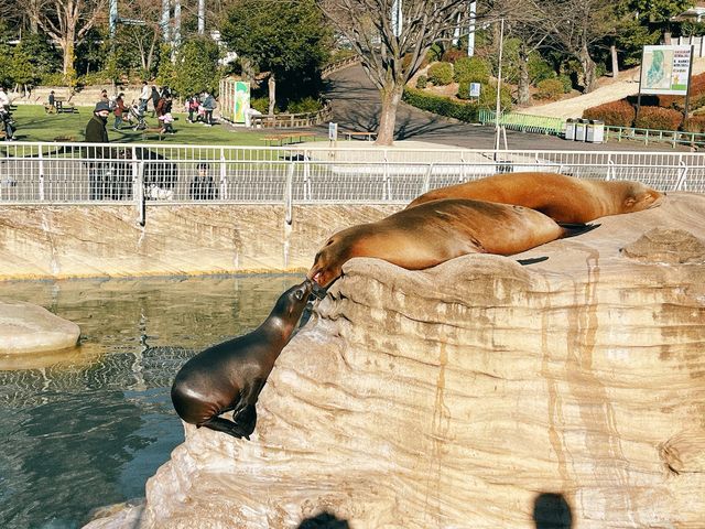 名古屋【東山動植物園】