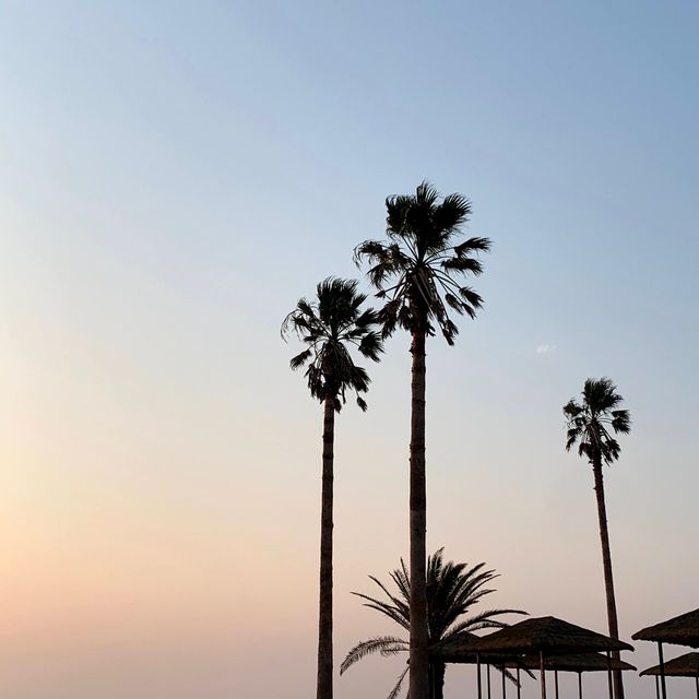 환상적인 애월의 노을 ☀️