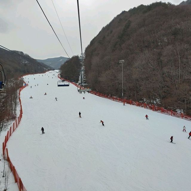 정선 하이원리조트: 엘사라도 나올 것 같은 겨울왕국❄️