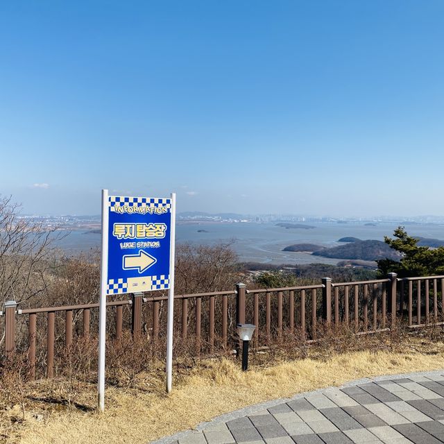 어른아이 모두타기 좋은 액티비티, 루지🚘