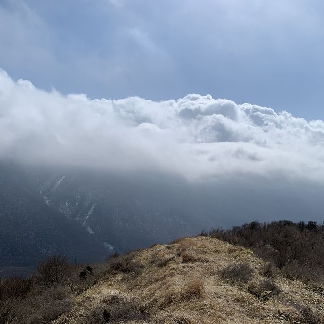 한라산이 다보이는 개꿀 오름 [어승생악]