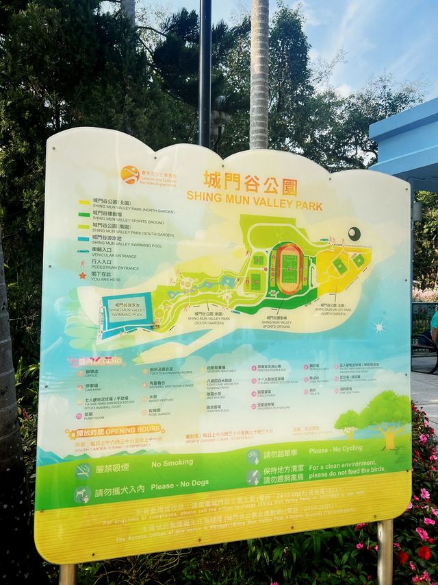 🌸城門谷公園賞櫻攻略🌸