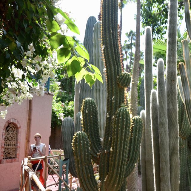 北非迷情💗摩洛哥MARRAKECH｜YSL的私人花園JARDIN MAJORELLE，宛如世外桃源! 