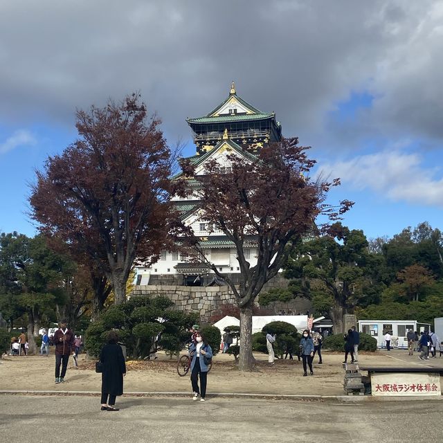 【いい目覚めに】大阪城周辺で素敵な朝活をしてきた！