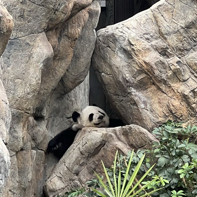 與小朋友來一堂實體課