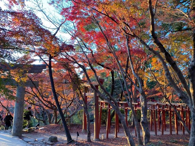 「鬼滅之刃」粉絲的朝聖地｜竈門神社