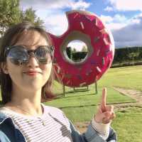심슨의 동네🍩 뉴질랜드에도 스프링필드가 있다!🇳🇿
