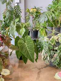 담양 신상 카페 풀멍🌱🌿