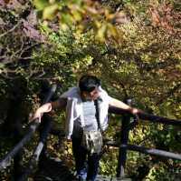 Hiking Exercise Bukhansan 