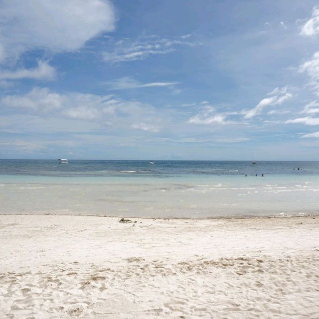 🩴보홀에서 저렴하게 데이트립할 수 있는 리조트 소개🏝