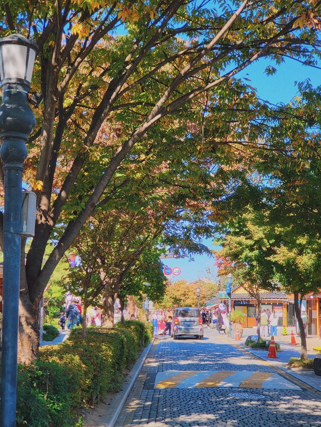 전주 한옥마을 거리 🍁 단풍 피크닉