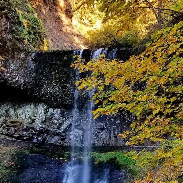 가을 단풍을 감상하기 좋은 아름다운 산책로 🍁