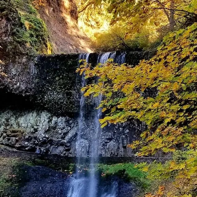 Beautiful trail to catch fall foliage 🍁