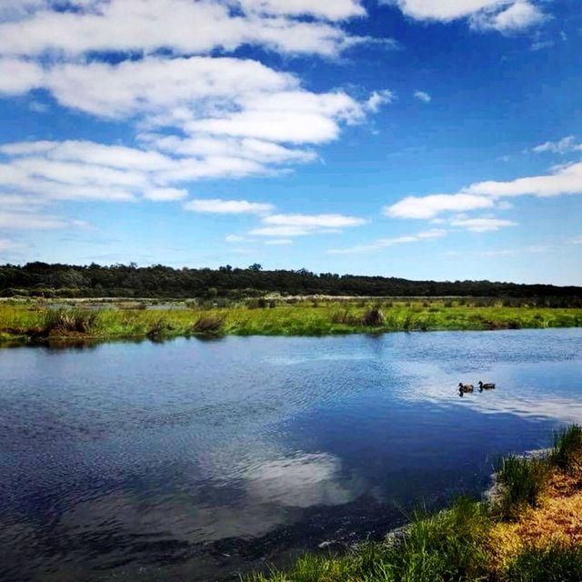 The Outback of Perth, Australia