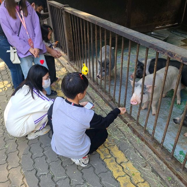 대구 이월드 🎡
