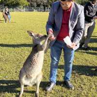 Australia 