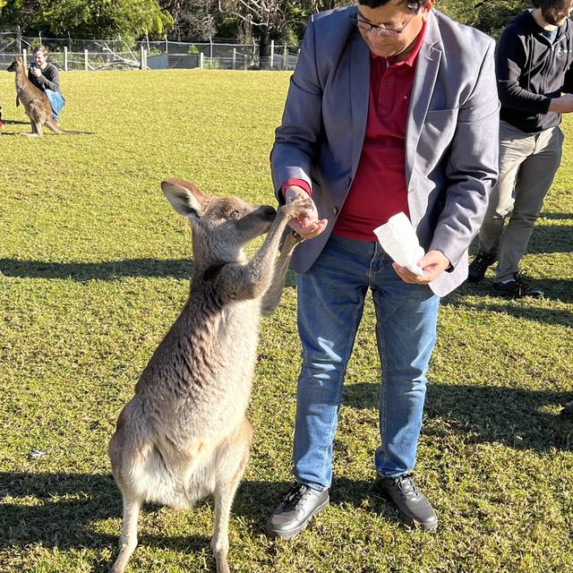 Australia 
