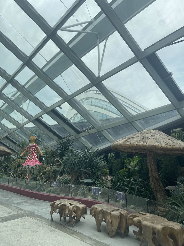 Gardens by the bay🌳