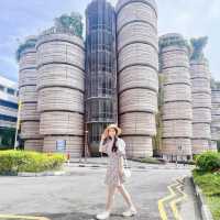 新加坡🔶南洋理工大學