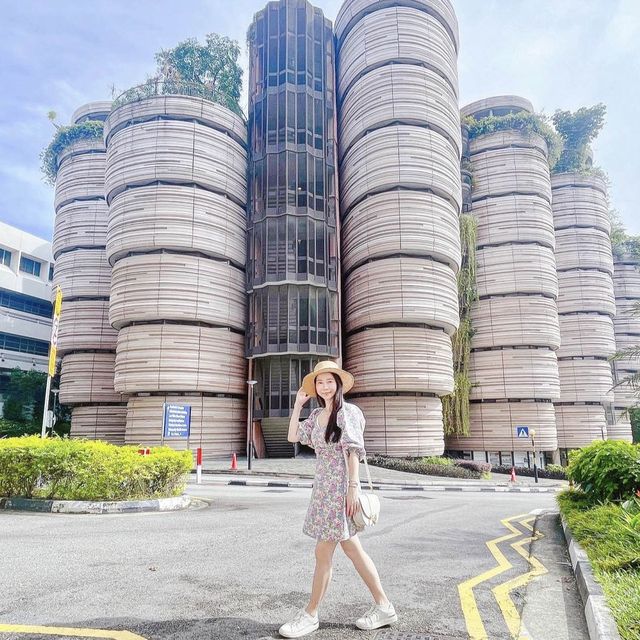 新加坡🔶南洋理工大學