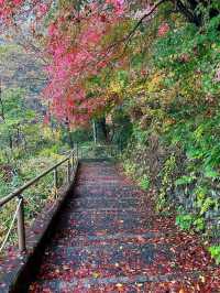 養老の滝