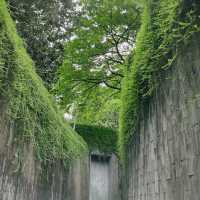 Fort Canning Park - สถานที่ยอดฮิตสายถ่ายรูป