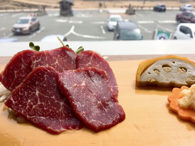 目の前に広がる広大な草千里