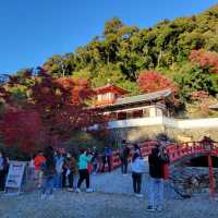 日本最古的修行地之一｜瀧安寺