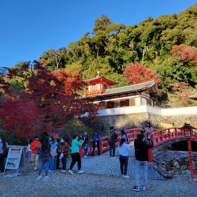 日本最古的修行地之一｜瀧安寺