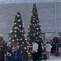 커다란 크리스마스 트리와 함께 행복한 연말을 🎄