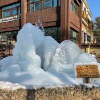 韓國🇰🇷春川南怡島🤲🏻冬日戀歌之路😌雪地浪漫💕漫步