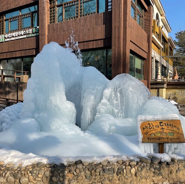 韓國🇰🇷春川南怡島🤲🏻冬日戀歌之路😌雪地浪漫💕漫步