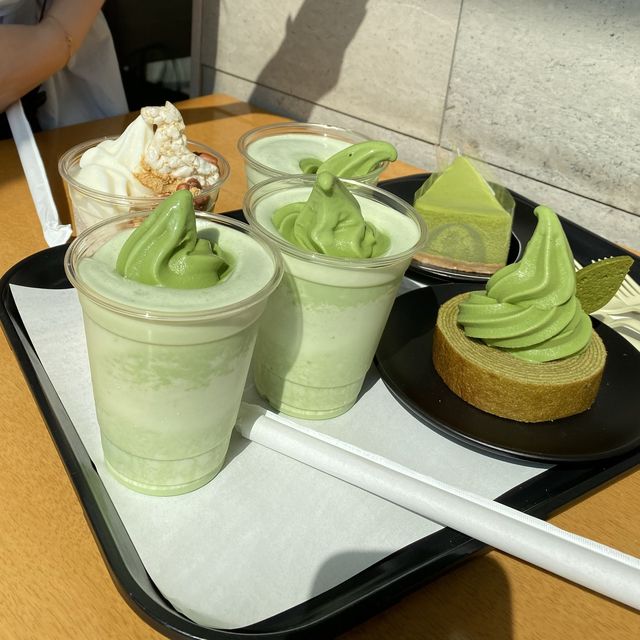 [제주] 녹차🍵의 매력에 풍덩, 제주 오설록
