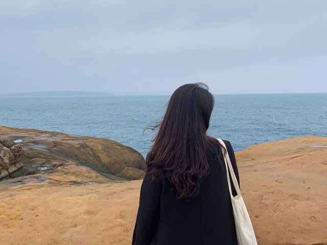 [대만] 희귀한 모양의 바위들이 있는, 예류지질공원