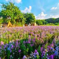 Flower Lovers. CNX | สวนดอกไม้เชียงใหม่​
