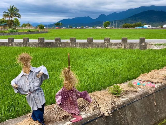 花蓮熱門旅遊景點｜伯朗大道，和我一起騎腳踏車兜風吧🤩