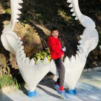 高質海洋公園平日遊