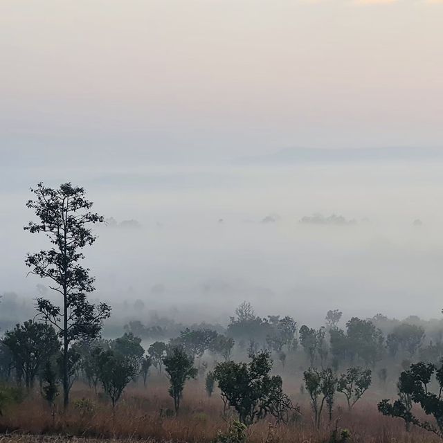 ธรรมชาติรังสรรค์ ภาพสวยงาม