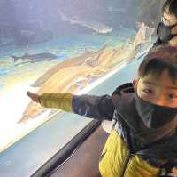 三重県•鳥羽水族館