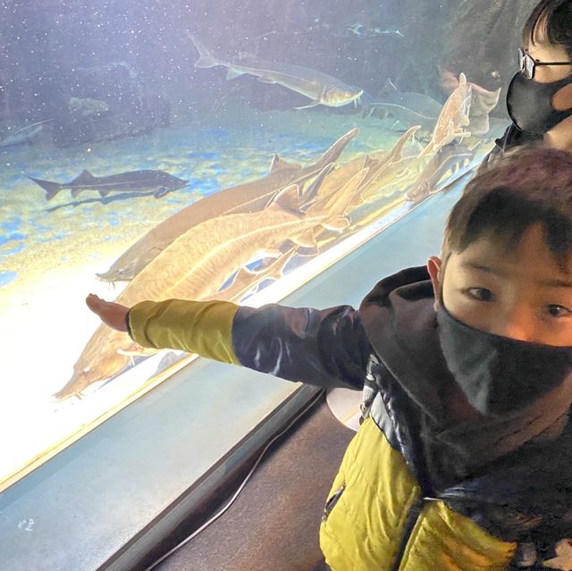 三重県•鳥羽水族館