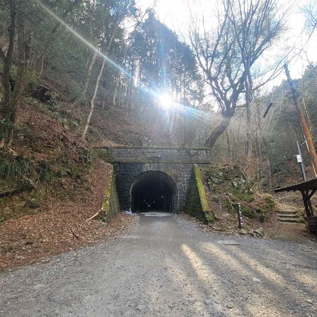 伊豆 旧天城トンネル Trip Com 伊豆の旅のブログ