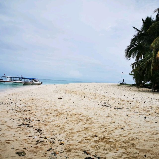 Dive in Sipadan island, Semporna, Sabah 