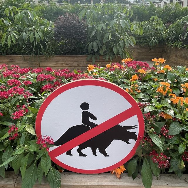 侏羅紀迷宮花園