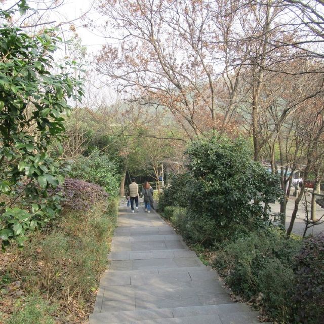 輕輕鬆鬆登上佘山之巔