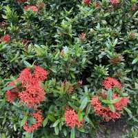 充滿藝術寧靜的小花園