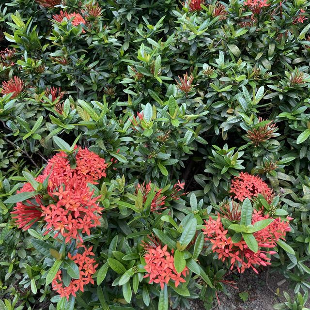 充滿藝術寧靜的小花園